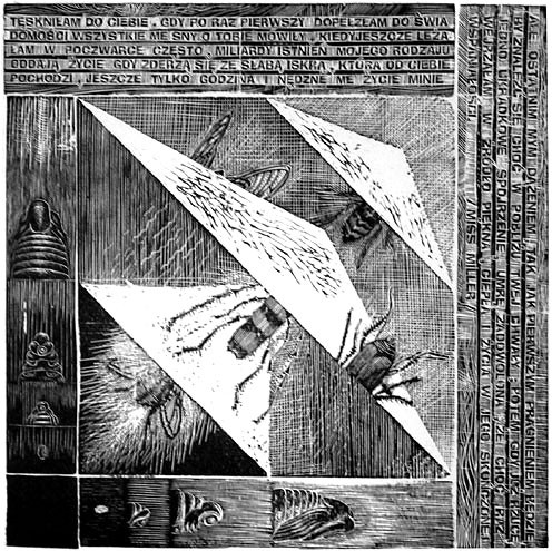 Przemiana 2 | woodcut